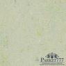 картинка Мармолеум Forbo Marmoleum Splash 2,50 3430 от магазина Parket777
