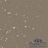 картинка Линолеум Forbo Surestep Star 176262 от магазина Parket777