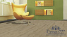 картинка Ламинат Kaindl Easy Touch 8.0 Premium Gloss plank Дуб Вайлд O270 HG от магазина Parket777