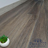 картинка SPC ламинат Aspenfloor New Trend Шанхай от магазина Parket777
