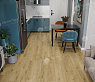 картинка Ламинат SPC Alpine Floor Eclipse Super Matt Матовое затмение Умбра ECO 21-7 от магазина Parket777
