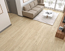 картинка Ламинат SPC Alpine Floor Grand Sequoia Light Гранд Секвойя Камфора Eco 11-501 MC от магазина Parket777