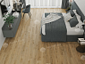 картинка Ламинат SPC Alpine Floor Eclipse Super Matt Матовое затмение Калькутта ECO 21-26 от магазина Parket777