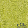 картинка Мармолеум Forbo Marmoleum Real 2,50 3224 от магазина Parket777