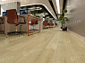 картинка SPC ламинат Tulesna Ottimo Тихий лес Modesto 1004-03 от магазина Parket777