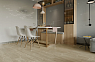картинка Ламинат Alpine Floor Grand Sequoia Сонома ECO 11-302 LVT от магазина Parket777
