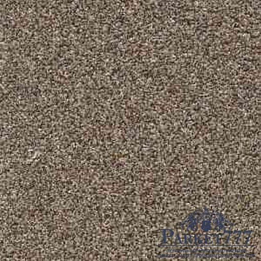 картинка Ковролин Associated Weavers Stainguard Harvest Heathers 44 от магазина Parket777