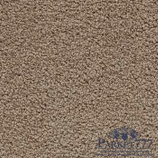 картинка Ковролин Associated Weavers Softissimo 49 от магазина Parket777