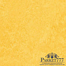 картинка Мармолеум Forbo Marmoleum Fresco 2,00 3251 от магазина Parket777