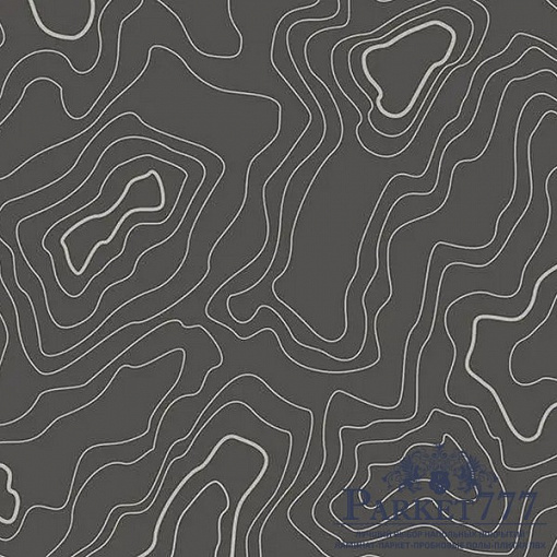 картинка Линолеум Forbo Sarlon Graphic 19DB 919T4319 от магазина Parket777