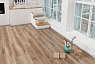 картинка Ламинат SPC Alpine Floor Premium Xl Премиальный XL Дуб Природный изысканный ABA ECO 7-6 MC от магазина Parket777