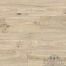 картинка Ламинат Floorwood Paradigma  Дуб Линео 8326 от магазина Parket777