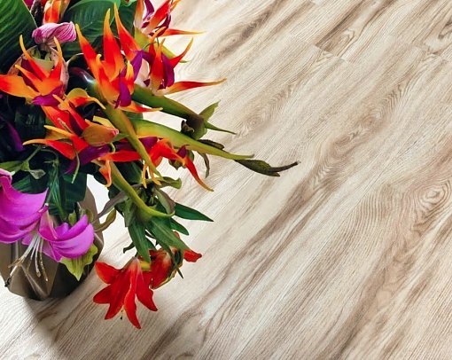 картинка Ламинат SPC Alpine Floor Real Wood Клен Канадский ЕСО 2-8 MC от магазина Parket777