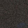 картинка Ковровая плитка Desso (Tarkett) Torso 9193 от магазина Parket777