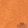 картинка Мармолеум Forbo Marmoleum Sport 3,2 мм 83286 от магазина Parket777