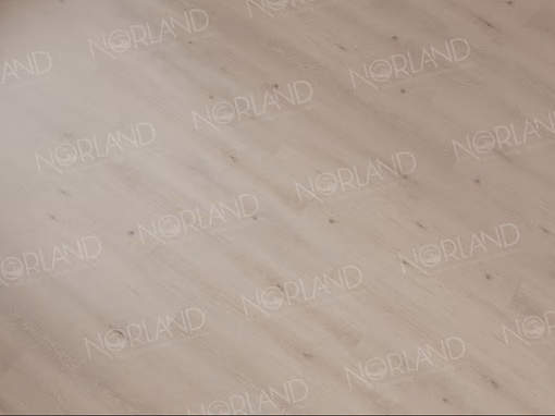картинка SPC ламинат Norland Sigrid Superior Роскошь Alante 1008-5 ABA от магазина Parket777