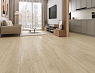 картинка Ламинат SPC Alpine Floor Grand Sequoia Light Гранд Секвойя Камфора Eco 11-501 MC от магазина Parket777