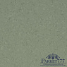 картинка Линолеум Gerflor Mipolam Symbioz 6067 от магазина Parket777