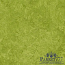 картинка Мармолеум Forbo Marmoleum Decibel 324735 от магазина Parket777
