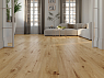 картинка Ламинат SPC Alpine Floor ProNature Соача Soacha 62541 от магазина Parket777