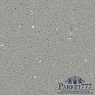 картинка Линолеум Forbo Safestep R11 174752 от магазина Parket777