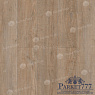 картинка Ламинат SPC Alpine Floor Easy Line Дуб Амбер ЕСО 3-39 от магазина Parket777