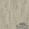 картинка Ламинат Tarkett GALLERY MINI Дуб Рембрандт S 504450008 от магазина Parket777