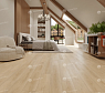 картинка Ламинат SPC Alpine Floor Intense Насыщенный Тихий Лес Eco 9-13 МС от магазина Parket777