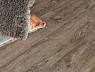 картинка Ламинат SPC Alpine Floor Grand Sequoia Light Гранд Секвойя Венге Грей Eco 11-801 МС от магазина Parket777