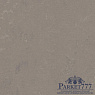 картинка Мармолеум Forbo Marmoleum Concrete 2,50 3702 от магазина Parket777