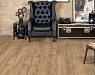 картинка Ламинат SPC Alpine Floor Grand Sequoia Light Гранд Секвойя Макадамия Eco 11-1001 MC от магазина Parket777