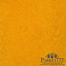 картинка Мармолеум Forbo Marmoleum Fresco 2,50 3125 от магазина Parket777