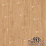 картинка Ламинат SPC Alpine Floor ProNature Oak Kisuca 64636 от магазина Parket777