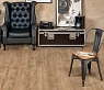 картинка Ламинат SPC Alpine Floor Grand Sequoia ГРАНД СЕКВОЙЯ МАКАДАМИЯ ECO 11-10 MC от магазина Parket777