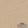 картинка Линолеум Forbo Sphera Element 50024 от магазина Parket777