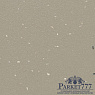 картинка Линолеум Forbo Surestep Star 176772 от магазина Parket777