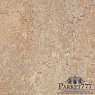 картинка Мармолеум Forbo Marmoleum Vivace 2,50 3407 от магазина Parket777