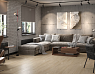 картинка Ламинат SPC Alpine Floor Grand Sequoia ГРАНД СЕКВОЙЯ КИПАРИСОВАЯ ECO 11-26 MC от магазина Parket777