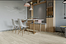 картинка Ламинат SPC Alpine Floor Grand Sequoia ГРАНД СЕКВОЙЯ СОНОМА ECO 11-3 MC от магазина Parket777