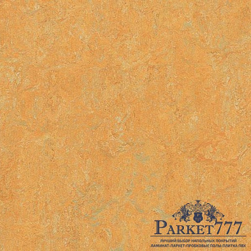 картинка Мармолеум Forbo Marmoleum Real 2,00 3847 от магазина Parket777