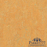 картинка Мармолеум Forbo Marmoleum Real 2,00 3847 от магазина Parket777