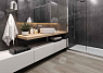 картинка Ламинат Alpine Floor Grand Sequoia Мета ECO 11-2702 LVT от магазина Parket777