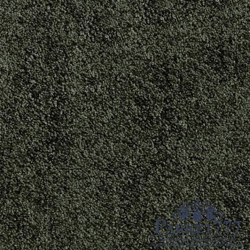 картинка Ковролин Associated Weavers Sunset 24 от магазина Parket777