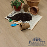 картинка SPC ламинат Steinholz Element Баум STH069E от магазина Parket777