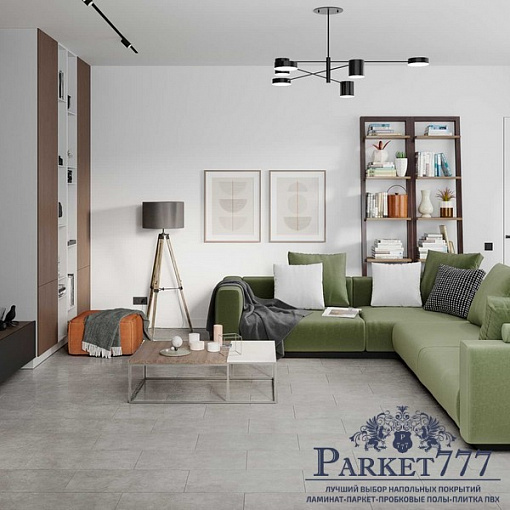 картинка SPC ламинат DAMY FLOOR Ascent Strong Броуд-Пик 125-2-ST от магазина Parket777