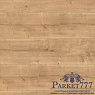 картинка Ламинат Ter Hurne TREND LINE Дуб Камберлендский светло-коричневый 1101021636 от магазина Parket777