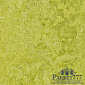 картинка Мармолеум Forbo Marmoleum Decibel 322435 от магазина Parket777