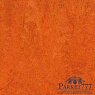 картинка Мармолеум Forbo Marmoleum Fresco 2,50 3126 от магазина Parket777