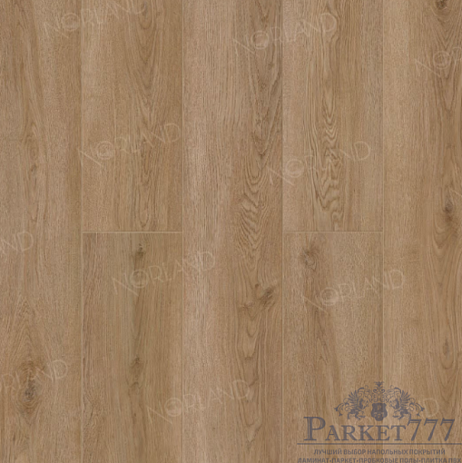 картинка SPC ламинат Norland Sigrid Энергия Niky 1001-20 от магазина Parket777