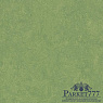 картинка Мармолеум Forbo Marmoleum Fresco 2,50 3260 от магазина Parket777
